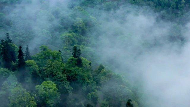 雷军领导下的“特种兵式出差”模式探究